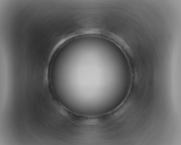 X0000116111174200911231139