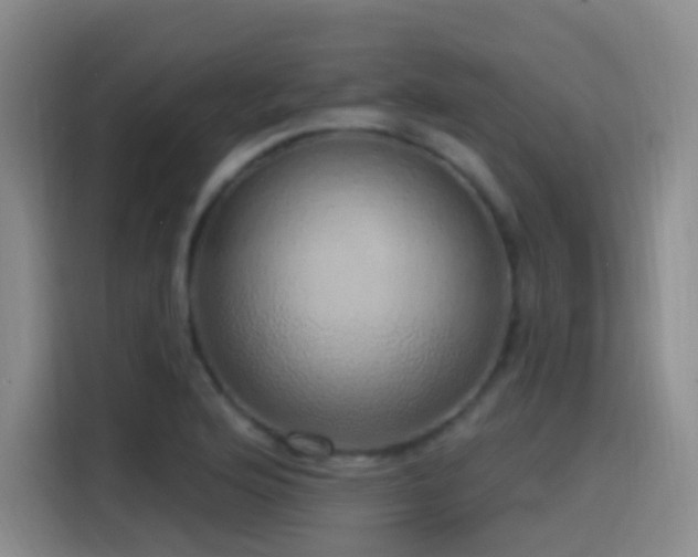 X0000116111176200911231139