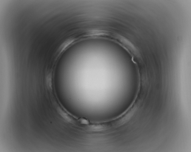 X0000116111177200911231139