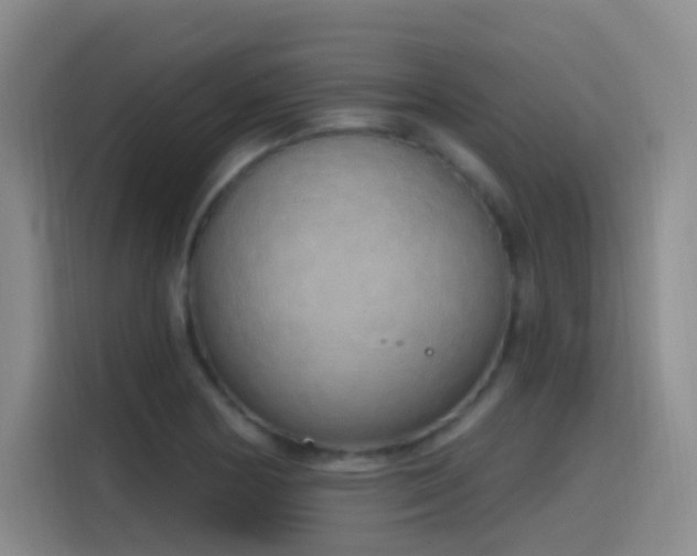 X0000116111178200911231139