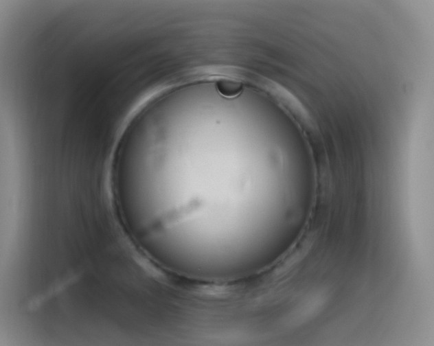 X0000116111182200911231139