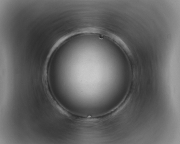 X0000116111184200911231139
