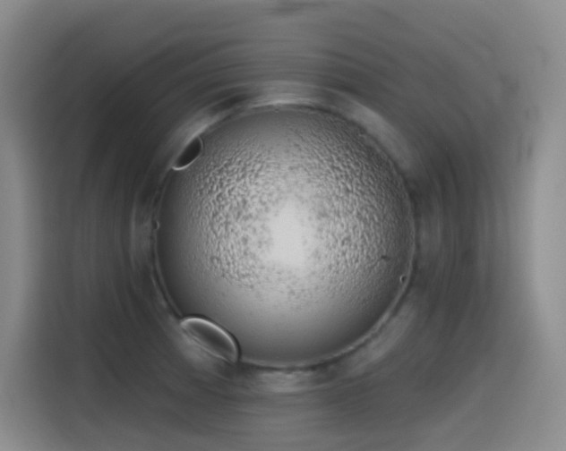 X0000116111185200911231139