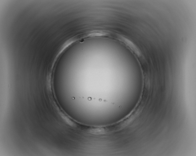 X0000116111186200911231139