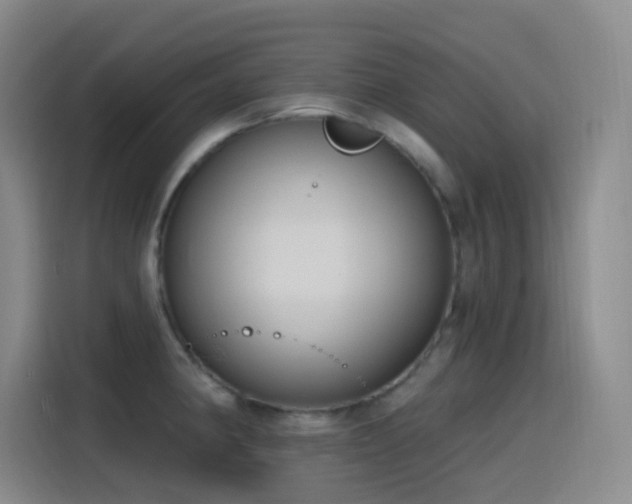 X0000116111190200911231139