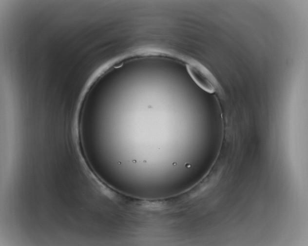 X0000116111191200911231139