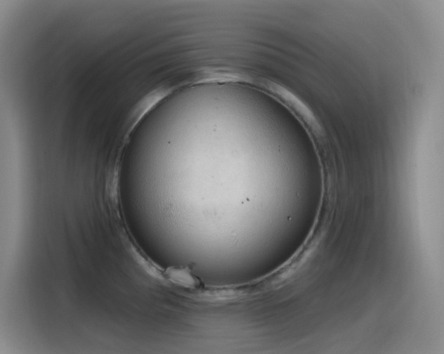 X0000116111193200911231139