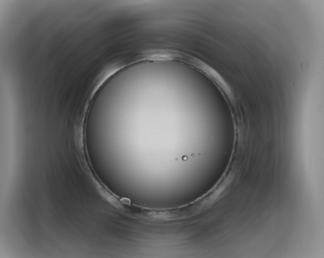 X0000116111194200911231139