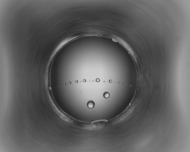 X0000116111195200911231139