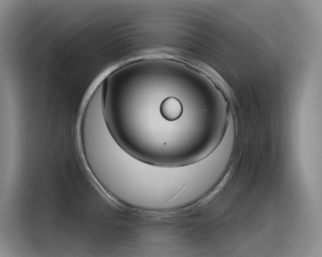 X0000116111196200911231139