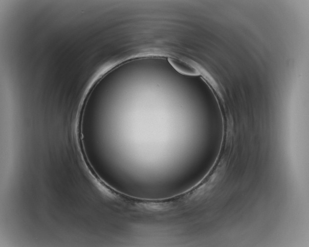 X0000116111197200911231139