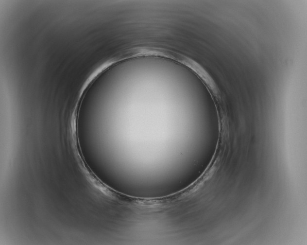 X0000116111198200911231139