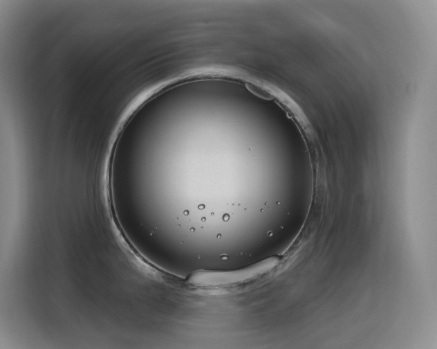X0000116111199200911231139