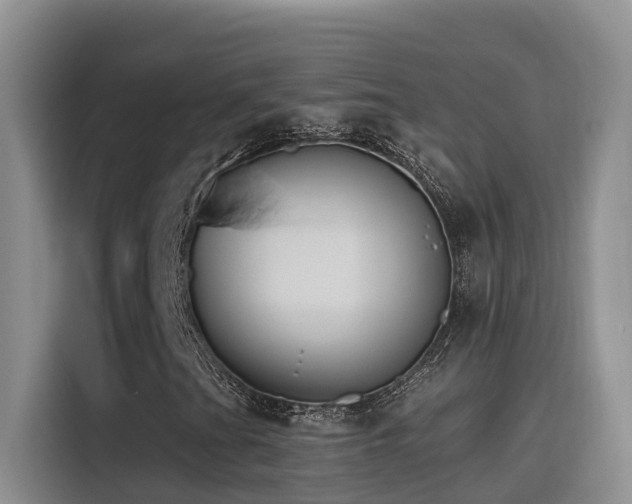 X0000116111201200911231138