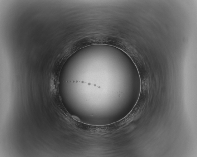 X0000116111202200911231138