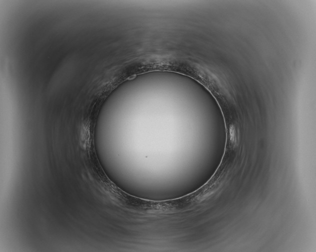 X0000116111203200911231138