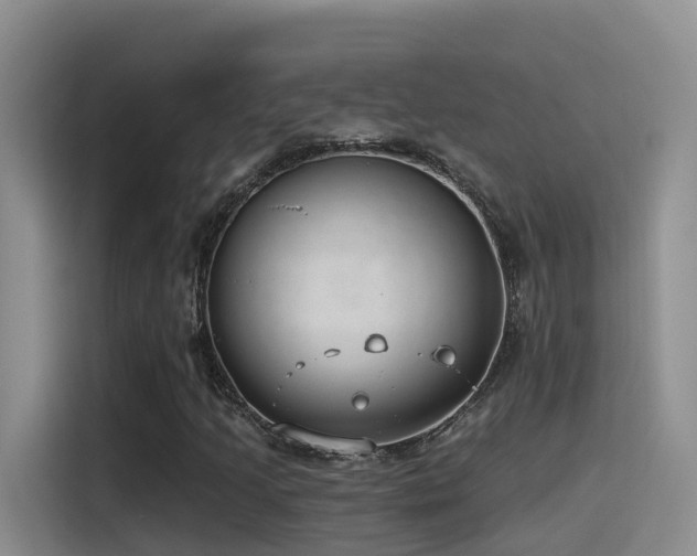 X0000116111205200911231139