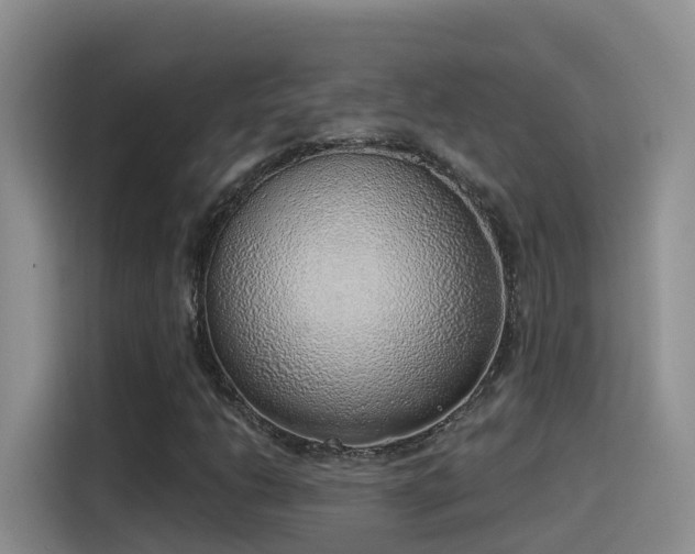 X0000116111206200911231139