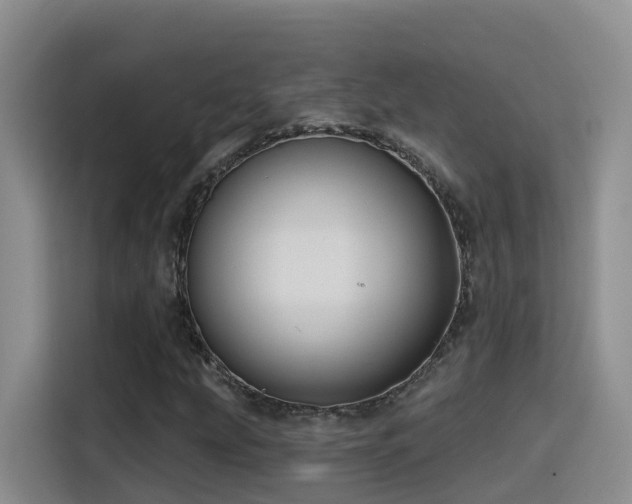 X0000116111207200911231139
