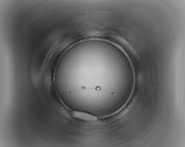 X0000116111209200911231139