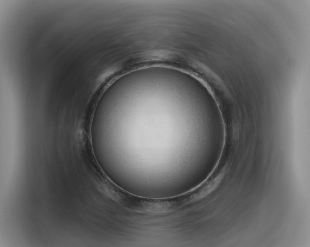 X0000116111210200911231139