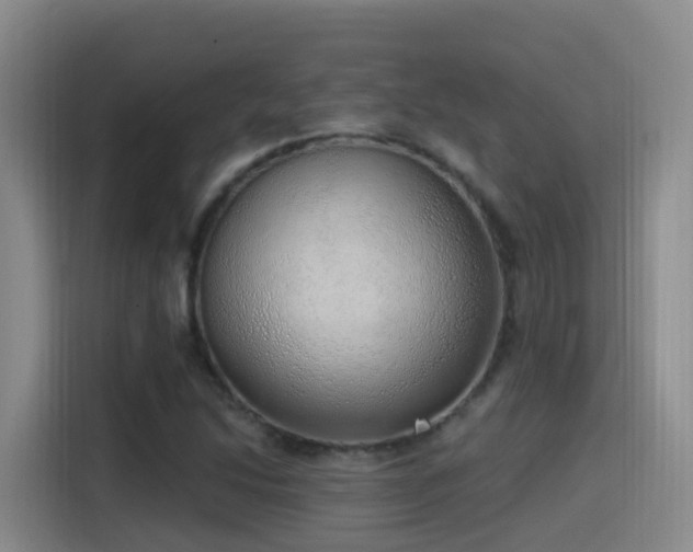 X0000116111214200911231139