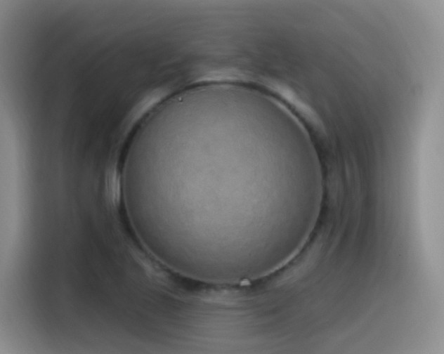 X0000116111221200911231139