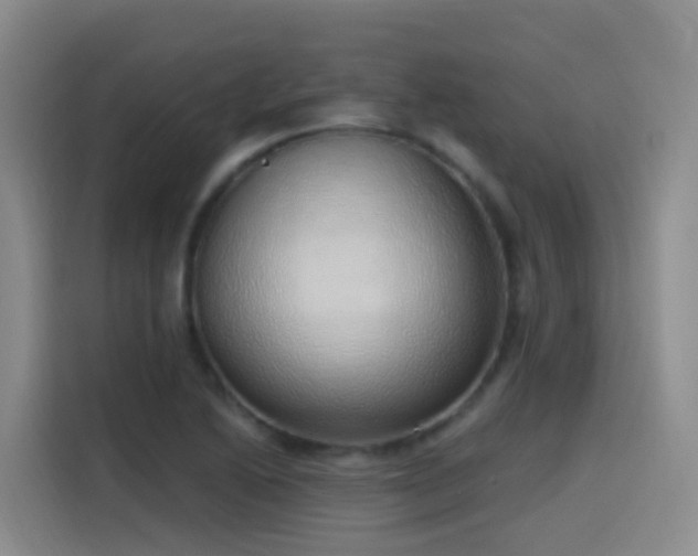 X0000116111222200911231139