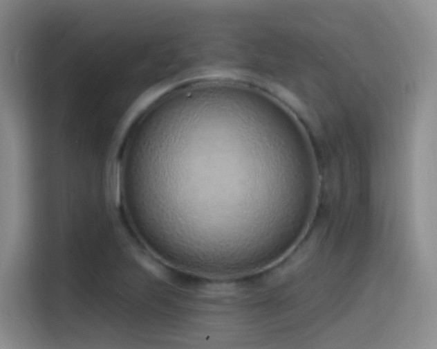X0000116111223200911231139
