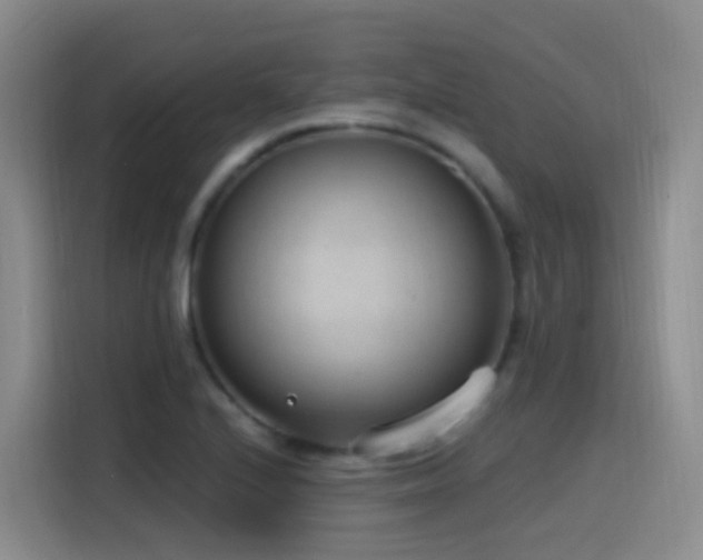 X0000116111224200911231139