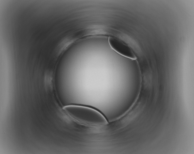 X0000116111225200911231139