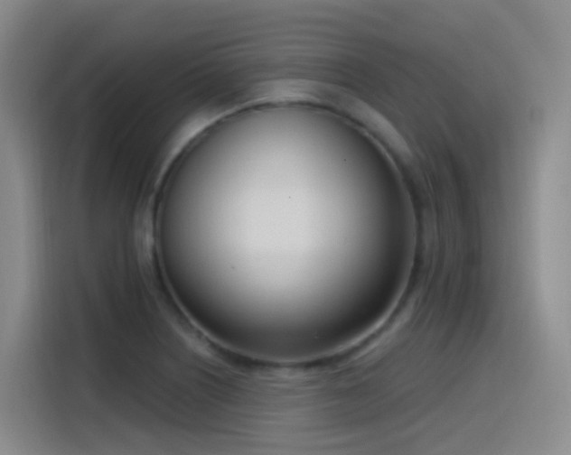X0000116111226200911231139