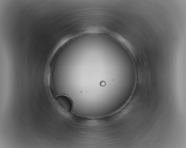 X0000116111227200911231139