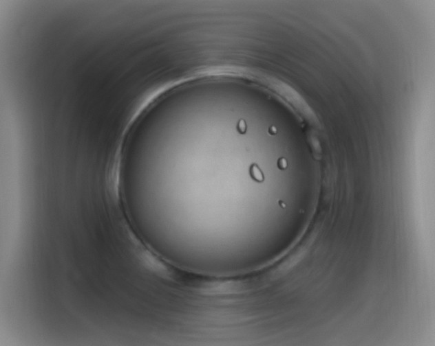 X0000116111228200911231139