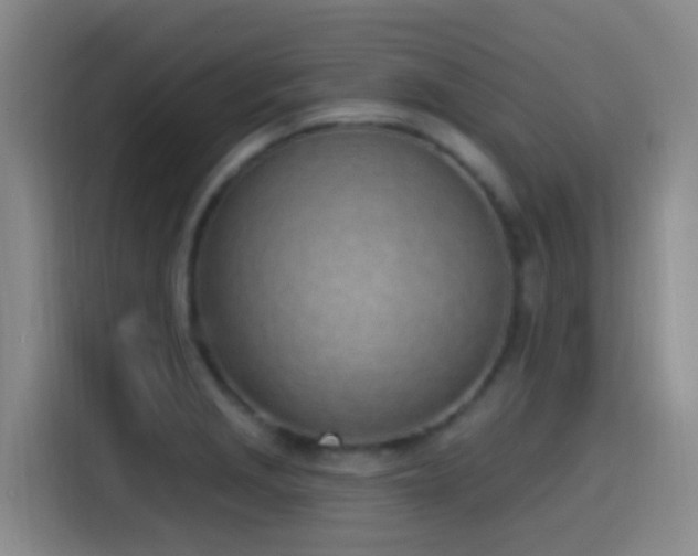 X0000116111229200911231139
