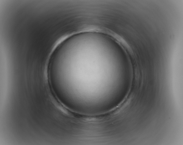 X0000116111230200911231139