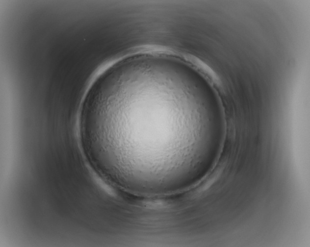 X0000116111231200911231139