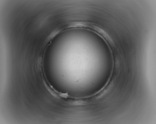 X0000116111233200911231139