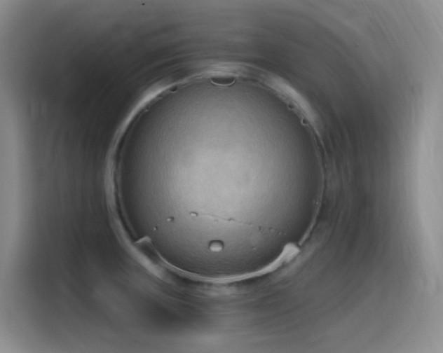 X0000116111235200911231139