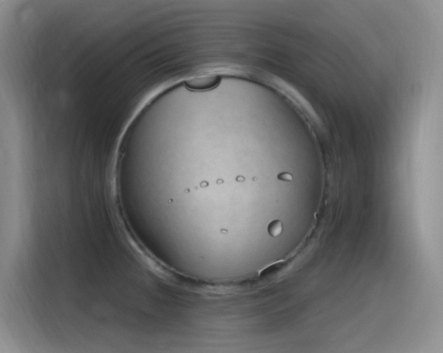 X0000116111236200911231139
