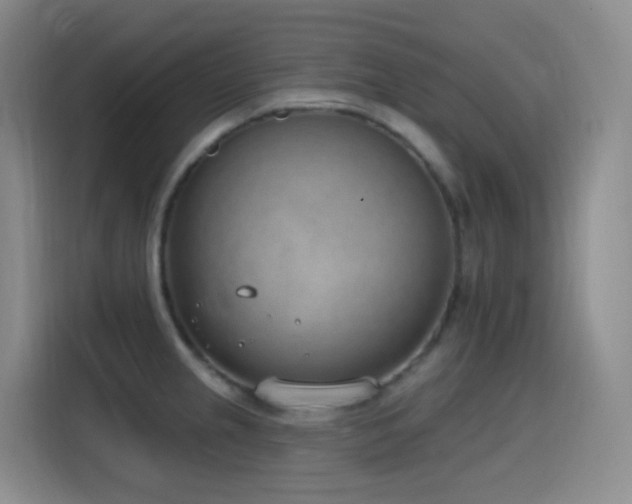 X0000116111237200911231139