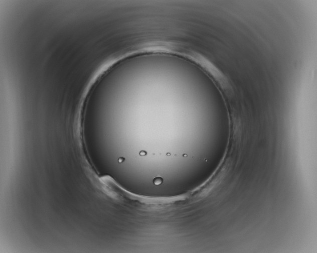 X0000116111240200911231139