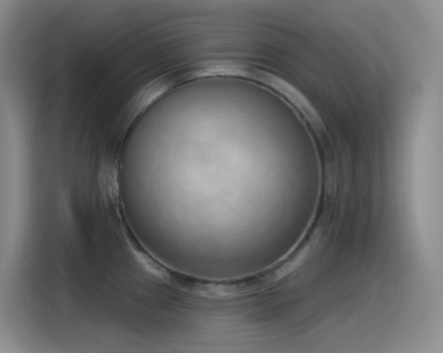 X0000116111241200911231139