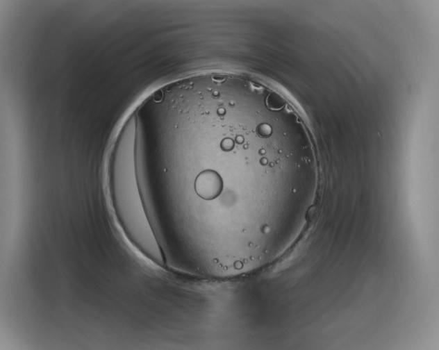 X0000116111243200911231139
