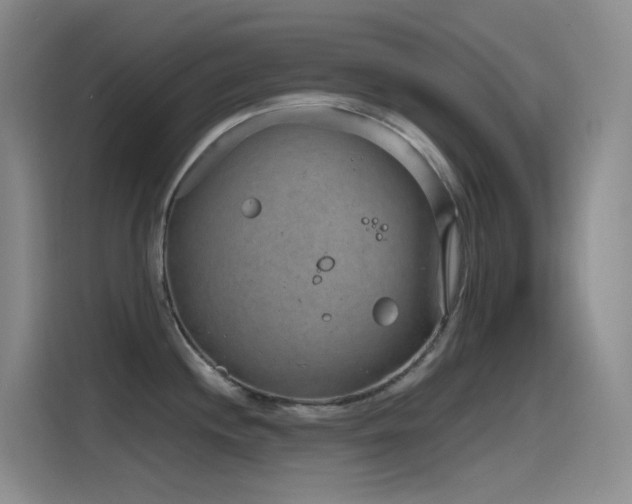 X0000116111244200911231139