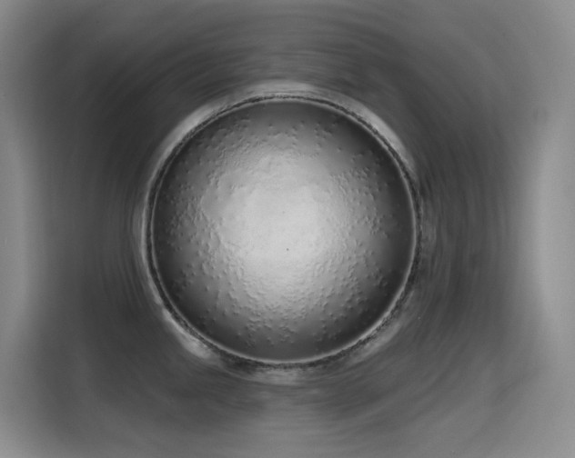 X0000116111245200911231139