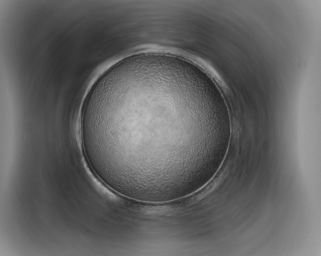 X0000116111247200911231139
