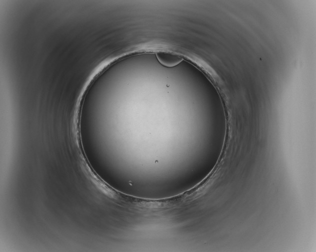 X0000116111248200911231139