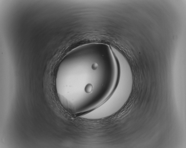 X0000116111249200911231138