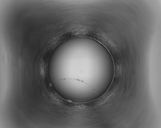 X0000116111250200911231138